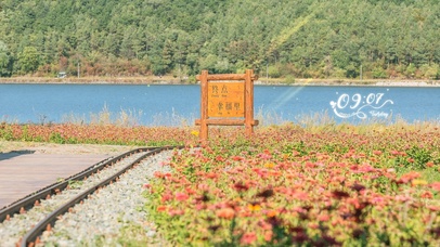 4K唯美治愈秋天站