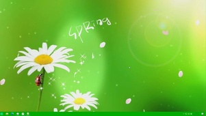 4k清新花瓣雏菊