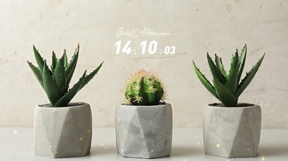 简约系ins绿植壁纸