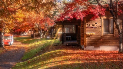 唯美秋林枫叶小屋