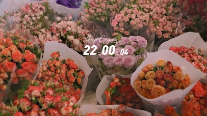 4k高清ins风格系列