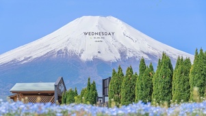 富士山脚下风景