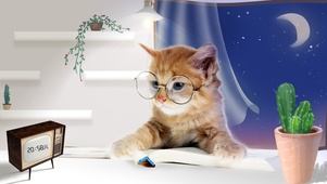 猫咪要做人上人（创意桌面）