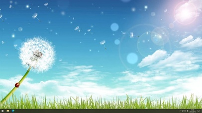 蓝天下的蒲公英