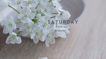 4k高清唯美小清新系列