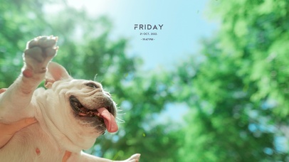 这就是飞翔的感觉