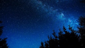森林星空一
