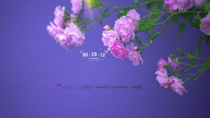 蔷薇花香