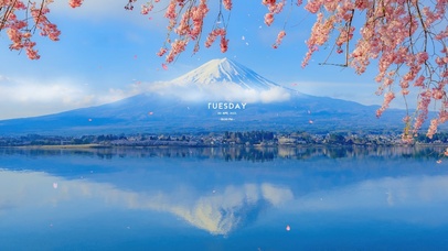 4K唯美治愈富士山樱花海景