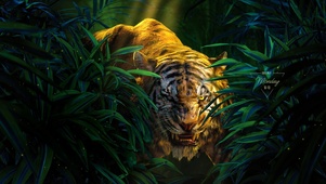 丛林老虎