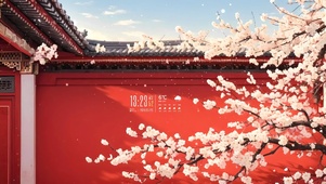 故宫梅花盛开