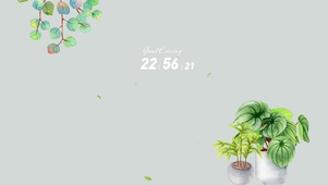 简约绿植ins风2