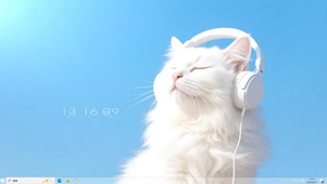 沐浴阳光的猫猫