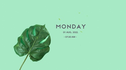 4k高清简约ins风格