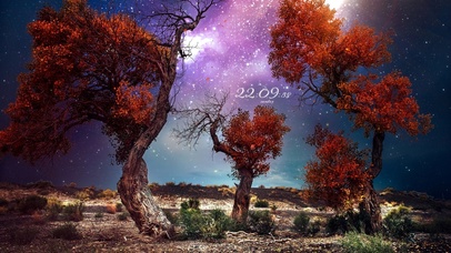 4k 梦幻星空下的胡杨林