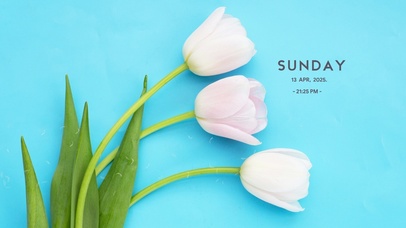 4k简约小清新系列