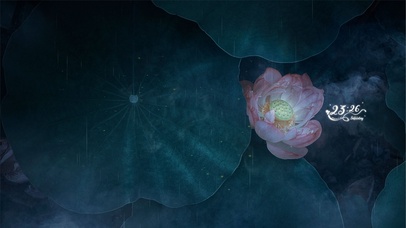 4K 雨天治愈意境荷花