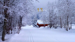 冬季雪林小屋