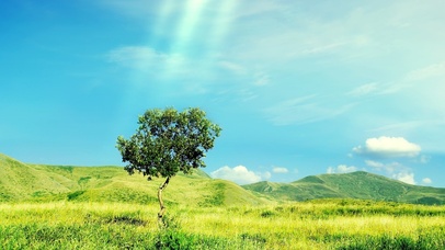 阳光、天空、云和你