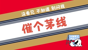 不要催我