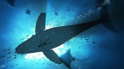 鲸落 4k唯美治愈