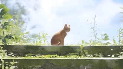 原野猫猫