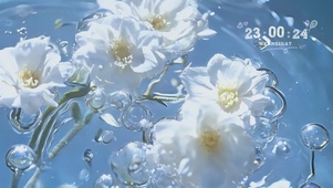 纯白之花
