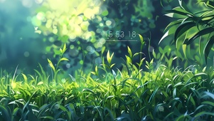 4K 光影森林