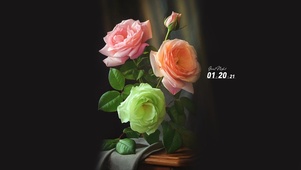 4k治愈花束