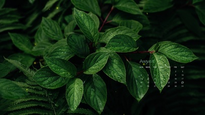 4k高级清新桌面