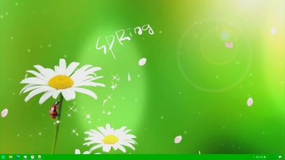 4k清新花瓣雏菊