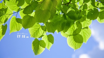 4k小清新护眼风景桌面