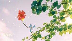 4K 花儿轻舞