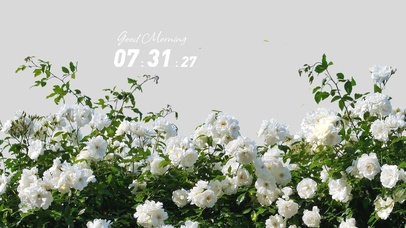 4k高清jins风格唯美系列