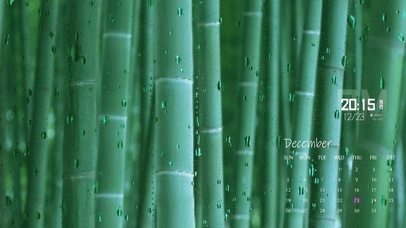 竹林雨滴
