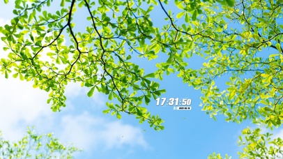 春季唯美护眼绿叶