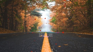 路上