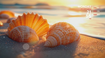 还记得那天在沙滩捡贝壳的傍晚