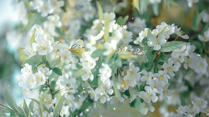 治愈春意花丛蝴蝶