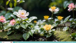 小角落的世界