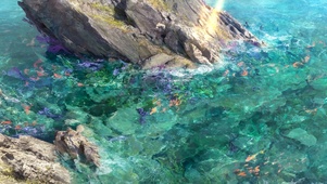海水浅滩