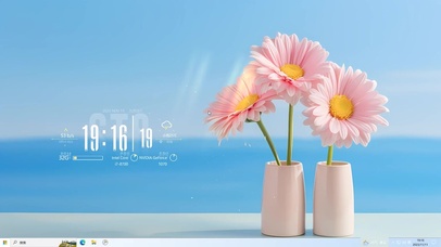 清新桌面 阳光雏菊