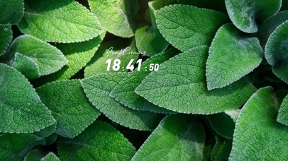 4k简约ins风格系列