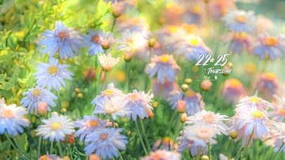 唯美清新夏日鲜花