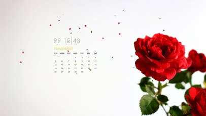 4k清新花朵桌面