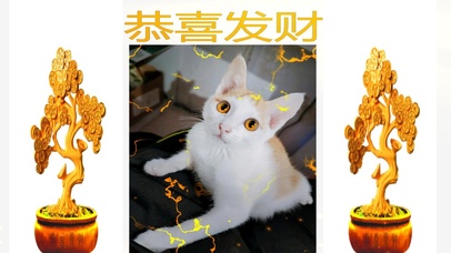 发财猫