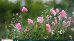 护眼绿景花草树木桌面主题