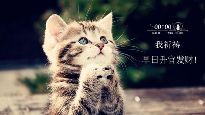 祈祷升官发财的小猫咪
