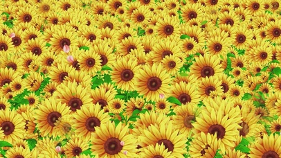 唯美的向日葵花海