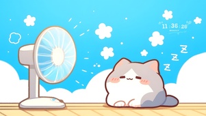 纳凉的小猫